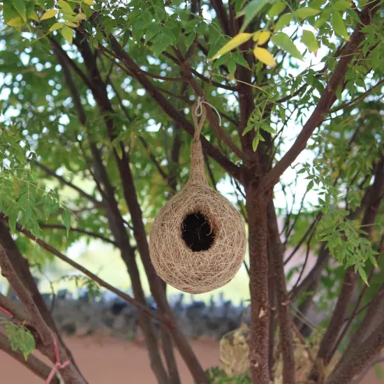 Organic Bird NEST Large Size Purely Made by Bird Building Technique Bird House