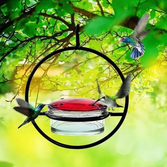 Beautiful Circular Hanging Bird Feeder,Leak Proof Circular Hanging Bird8777