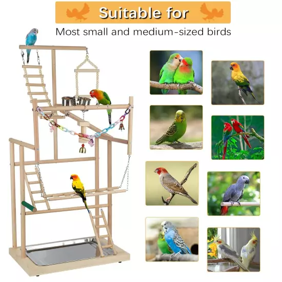 Pet Parrot Playstand Parrots Bird Playground Bird Play Stand Wood Perch Gym P...