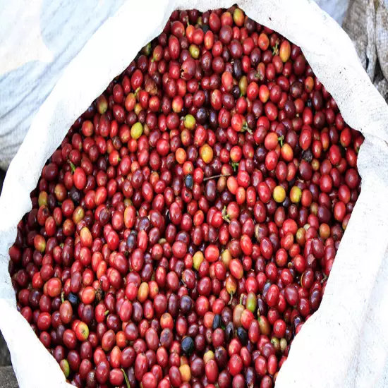 100% HAWAIIAN KONA PEABERRY COFFEE BEANS MEDIUM ROASTED 2 / 12 POUNDS