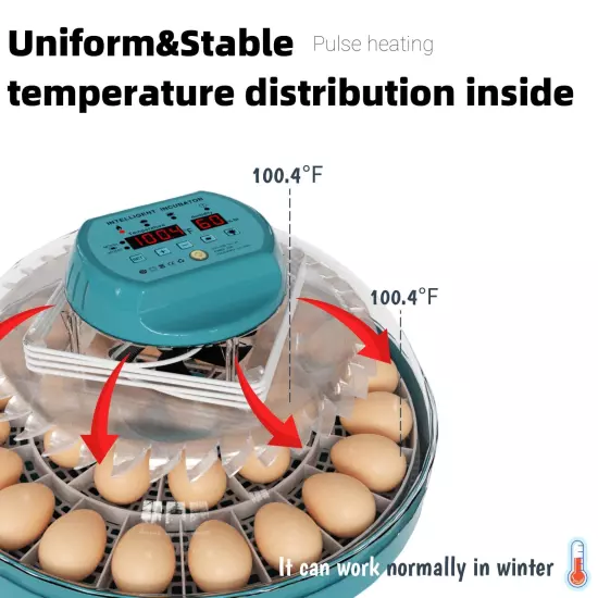 Egg Incubator Intelligent Incubator for Chicken Eggs with Automatic Humidity C