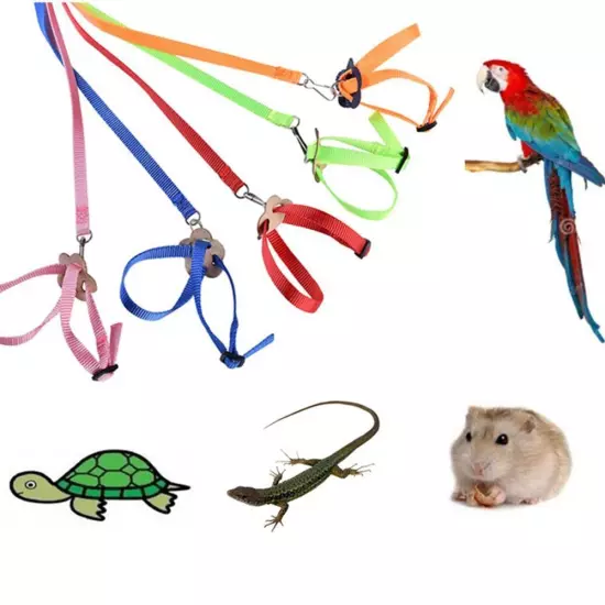 Parrot Bird Harness Leash Adjustable Training Rope Flying Traction Straps Band.