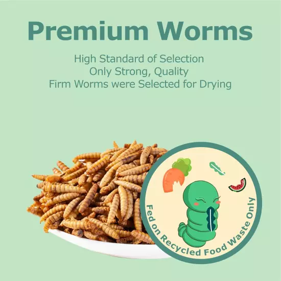 2LB Dried Black Soldier Fly Larvae, More Calcium than Dried Mealworms, High Prot