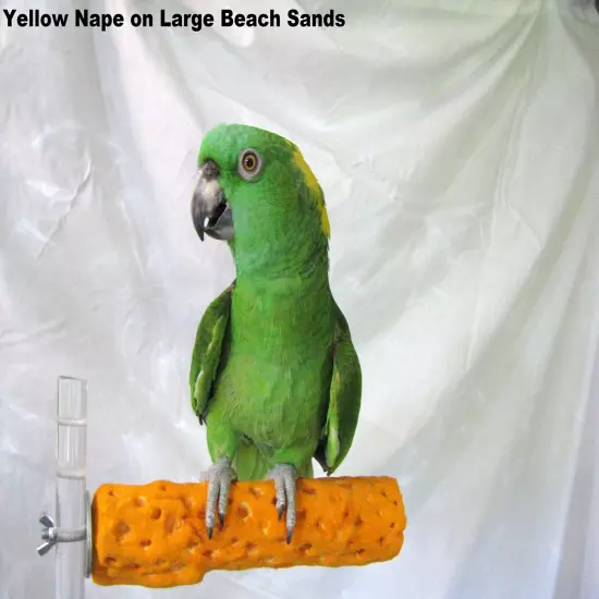 Beach Sands Bird Perch, Large