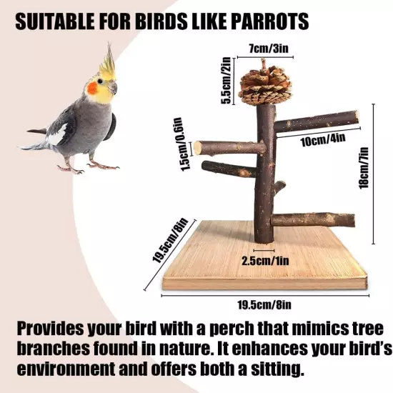 Bird Perch Stand, Portable Tabletop Bird Play Stand Parrot Training Perch 