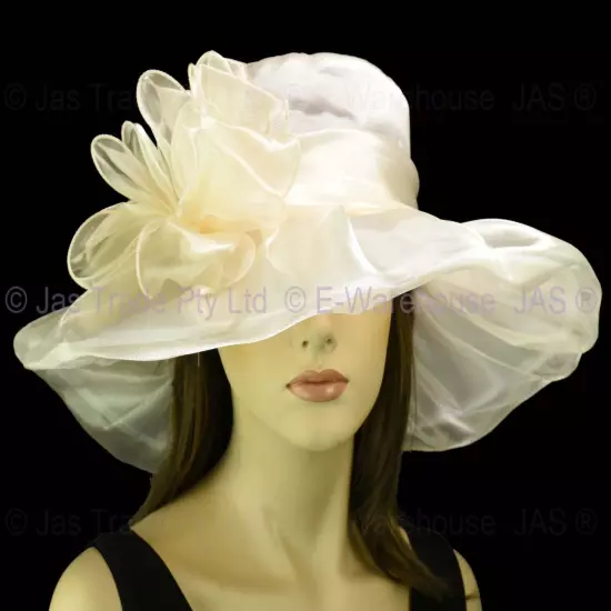 Spring Race Carnival Derby Day Church Wedding Women Ladies Organza Evening Hat