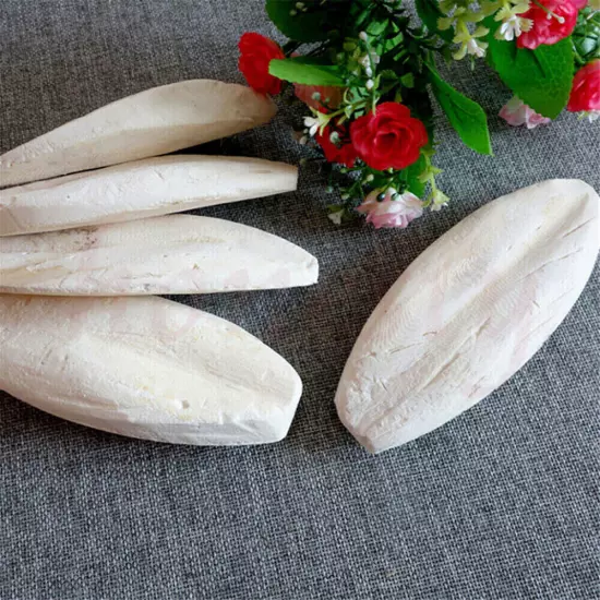 10-20X Large 10CM 3.94" Cuttlebone For Bird Parrots Cuddle Bone W/Box Cuttlebone