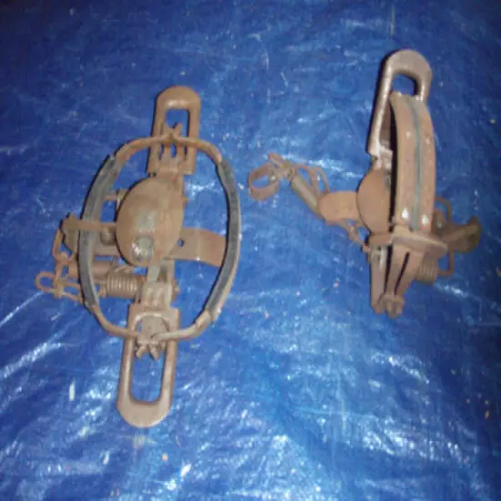 Coyote spring traps...two(2)...antique collectable...pick up only...Atlanta, Ga.