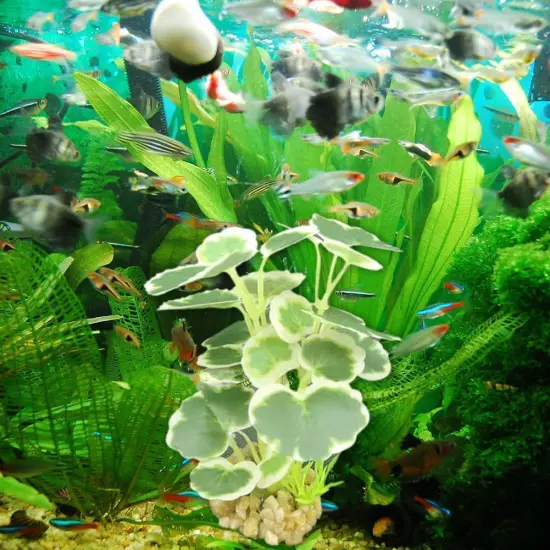 Artificial Fake Plastic Water Grass Plants For FishTank Ornaments Aquarium Y8M1