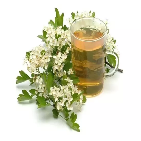 Hawthorn Tea - Loose Leaf & Flower from 100% Nature, Wild Crafted from Europe