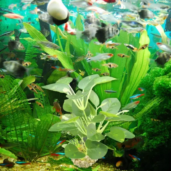 Aquarium Artificial Waterweed Fish Tank Grass Water Plants Landscaping Dec D2P1