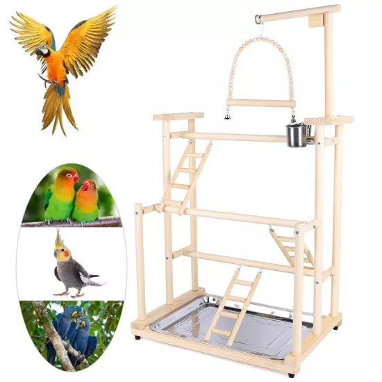 Pet Parrot Playstand Parrots Bird Playground Bird Play Stand Wood Perch Gym Play