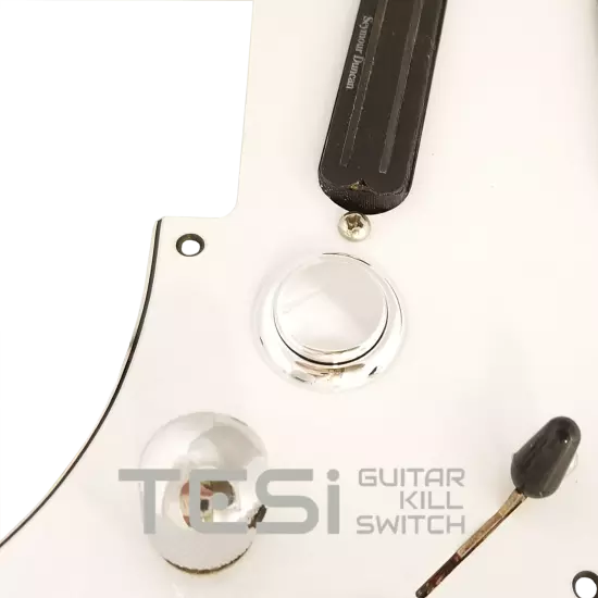 Tesi Switch DITO 24mm Arcade Button Guitar Kill Switch - 25 Colors Available!