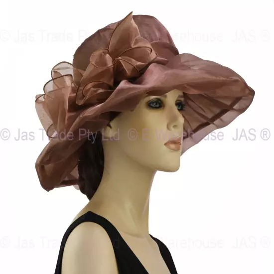 Spring Race Carnival Derby Day Church Wedding Women Ladies Organza Evening Hat