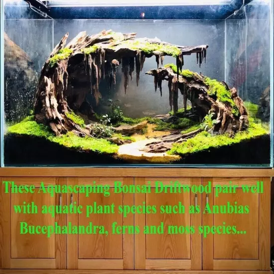 Aquascape Bonsai Driftwood Aquarium Cave Hardscape Plants Fish Tank Decorations