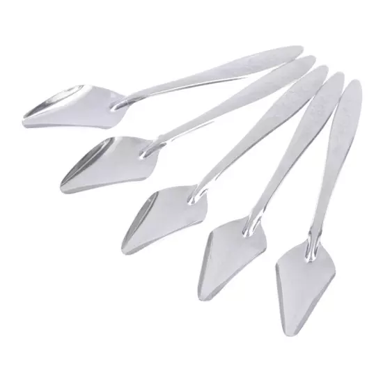 5Pc Baby Bird Pointed Feeding Spoon Stainless Steel Milk Medicine Parrot Fe.t2