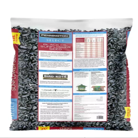 Pennington Select Black Oil Sunflower Seed Dry Wild Bird Feed, 40 lb. Bag, 1 Pac