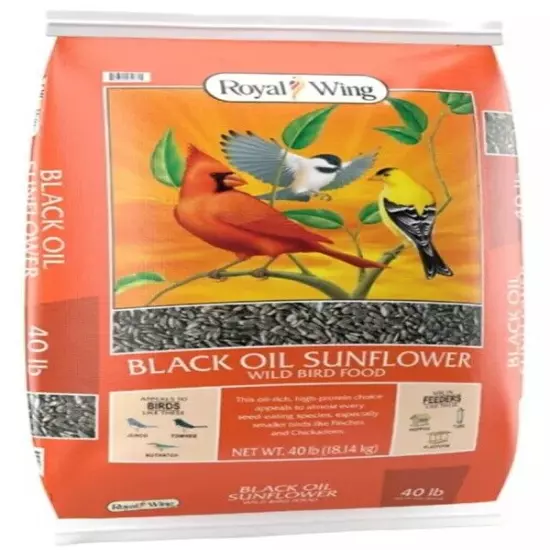 Black Oil Sunflower Wild Bird Food 20 or 40 LBS