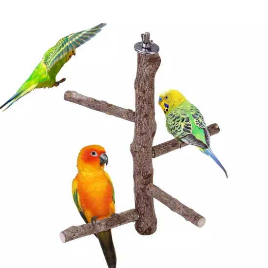 Natural Wood Bird Perch Stand, Hanging Multi Branch Perch for Parrots, Parake...