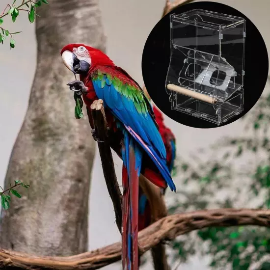 Acrylic Transparent Automatic Bird Feeder Parrots Canary Cockatiel Pet Supplies