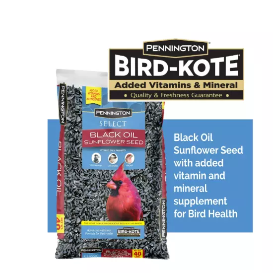 Pennington Select Black Oil Sunflower Seed Dry Wild Bird Feed, 40 lb. Bag, 1 Pac