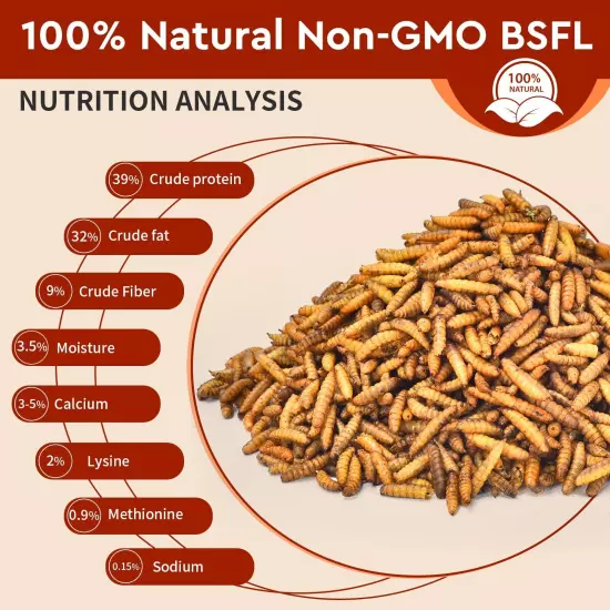 Dried Black Soldier Fly Larvae 5LB, High Protein Chicken Feed, 100% Natural Non