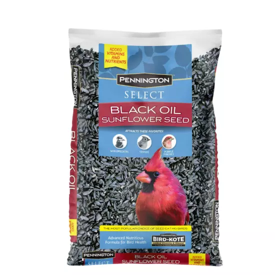 Pennington Select Black Oil Sunflower Seed Dry Wild Bird Feed, 10 lb. Bag, 1 Pac