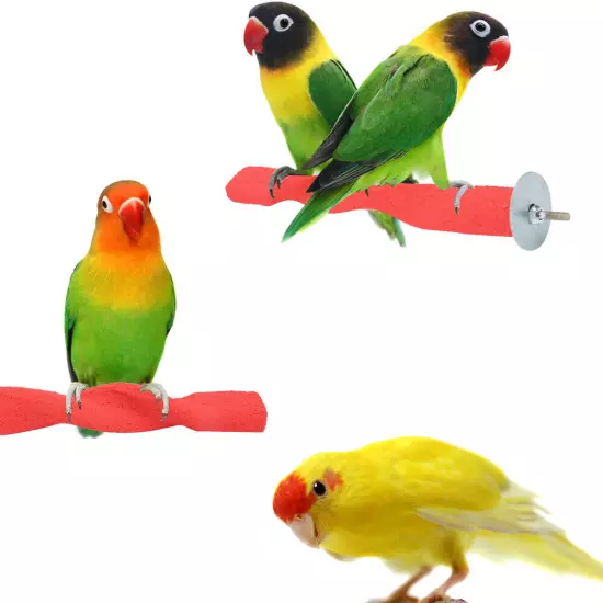 Wooden Bird Perch Frosted Rod Standing Frame Stand Pole Chewing Bitin BUN