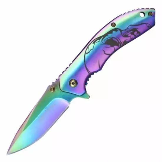 Spring-Assist Folding Knife Wartech Premium Ball Bearing Easy Open Rainbow Skull