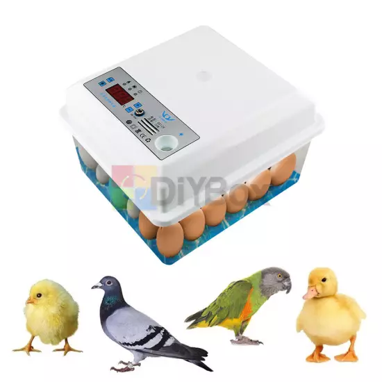 20/50Eggs Incubator Fully Automatic Brooder Chicken Poultry Quail Bird Hatcher