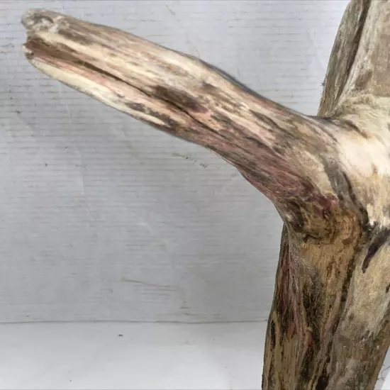 Driftwood Taxidermy Beach Lake Mountain House Wedding Reception