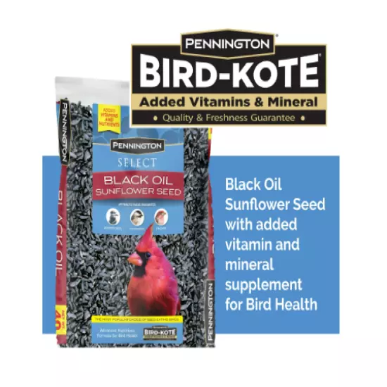 Pennington Select Black Oil Sunflower Seed Dry Wild Bird Feed, 40 lb. Bag, 1 Pac