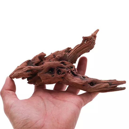 Natural Tree Trunk Driftwood Fish Tank Driftwood Aquarium Fish Decoration Ran Sn