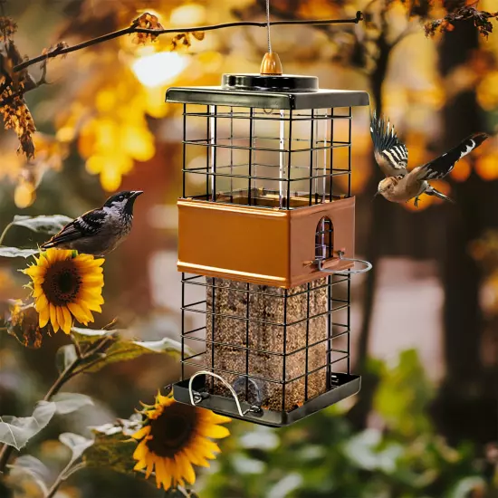 Easy Clean and Fill Bird Feeder Multiple Feeding Ports Wild Bird Seed Feeders