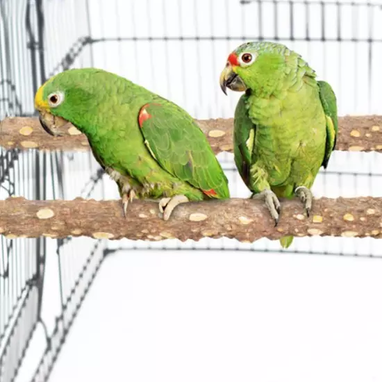 3Pcs Bird Perches for Cage, Nature Wood Prickly Parrot Stand Toy Paw Grinding St