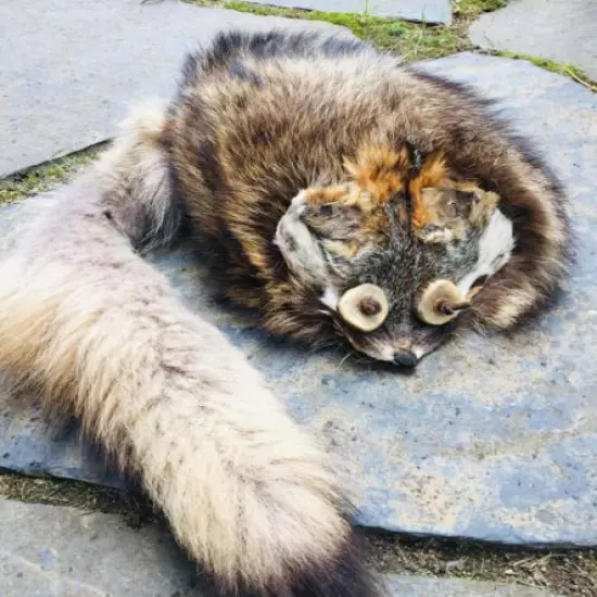 Mountain Man - Fox Face & Wolf Tail Fur Hat