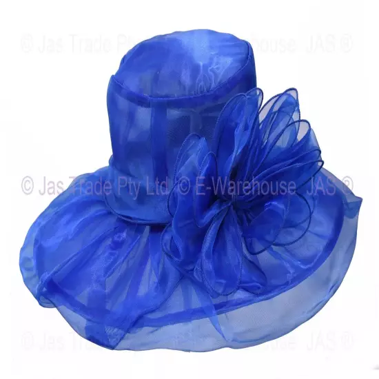 Spring Race Carnival Derby Day Church Wedding Women Ladies Organza Evening Hat