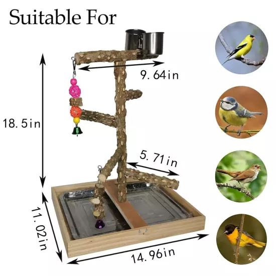 Bird Perch Natural Wood Stand Parakeet Playground Toy Parrot Play Stand Platf...