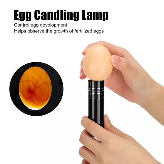 Egg Incubator Tester Candling Lamp 9 Light Bright Cold Hatching Poultry