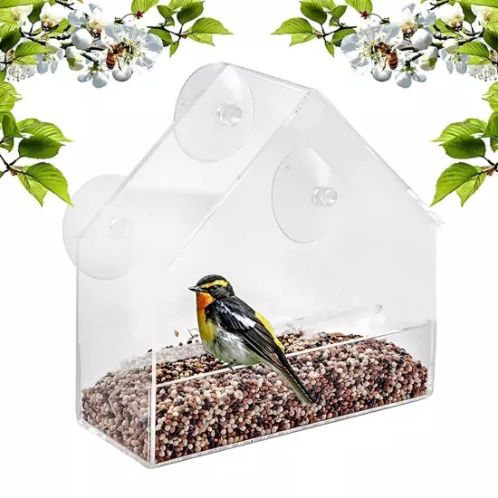 Indoor Outdoor Hanging Bird Feeder PS Transparent Bird Feeding Tool for Feeding