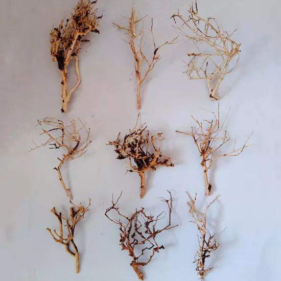 Mini Driftwood Aquarium Moss Tree Small Plant Branches Fish Tank Landscape Craft