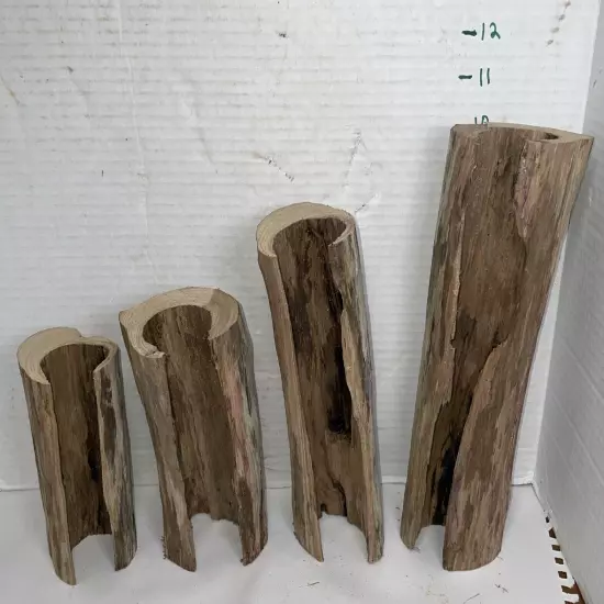 Driftwood 4 Piece Set Taxidermy Beach Lake Mountain House Wedding Reception