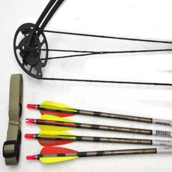 PRICE REDUCTION: Marlowe Design Atelier 60# Compound Bow RH