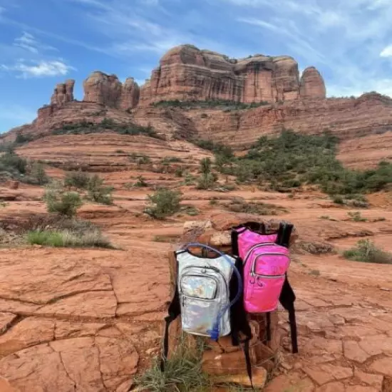 Hiking Turtle Holographic Hydration Hydropack Backpack Pink|Holo|Glitter 2L