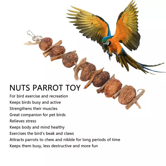 Nuts Parrot Toy Relieve Boredom Hanging Bird Bark Chewing String Toy For Pets