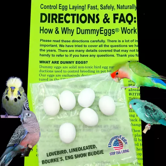 DummyEggs PLASTIC LOVEBIRD EGGS STOP LAYING! 6 Fake Realistic Bird Eggs USA