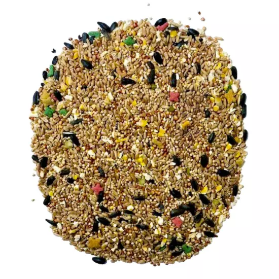 Pennington Medium Bird Everyday Blend Bird Food for Cockatiels 3 Lb Bag, 1 Pack