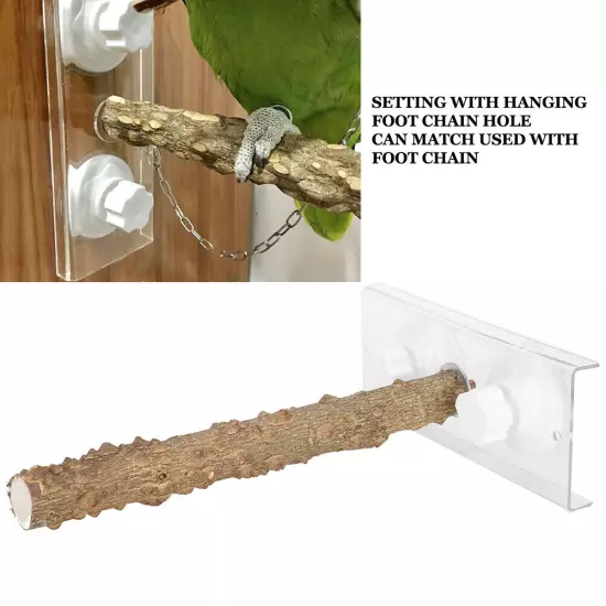 25CM Parrots Outdoor Portable Wood Standing Rod Pet Bird Shower Perch With