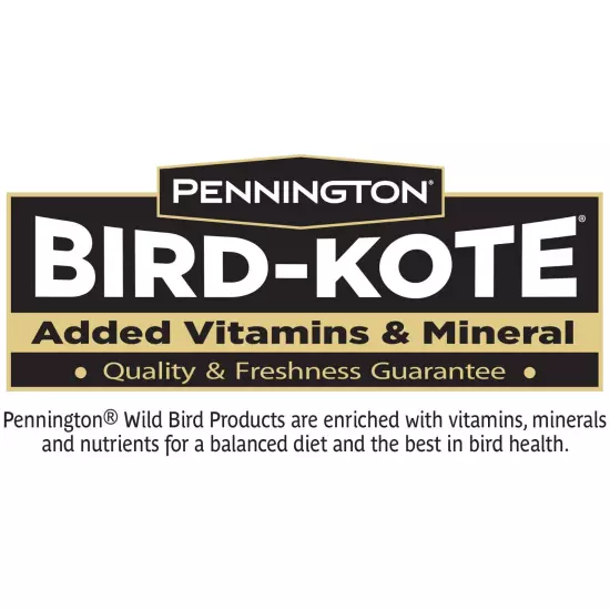 Pennington Select Black Oil Sunflower Seed Dry Wild Bird Feed 40 lb. Bag 1 Pack