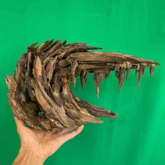 Drift wood aquarium aquascape bonsai driftwood real fish tank decoration